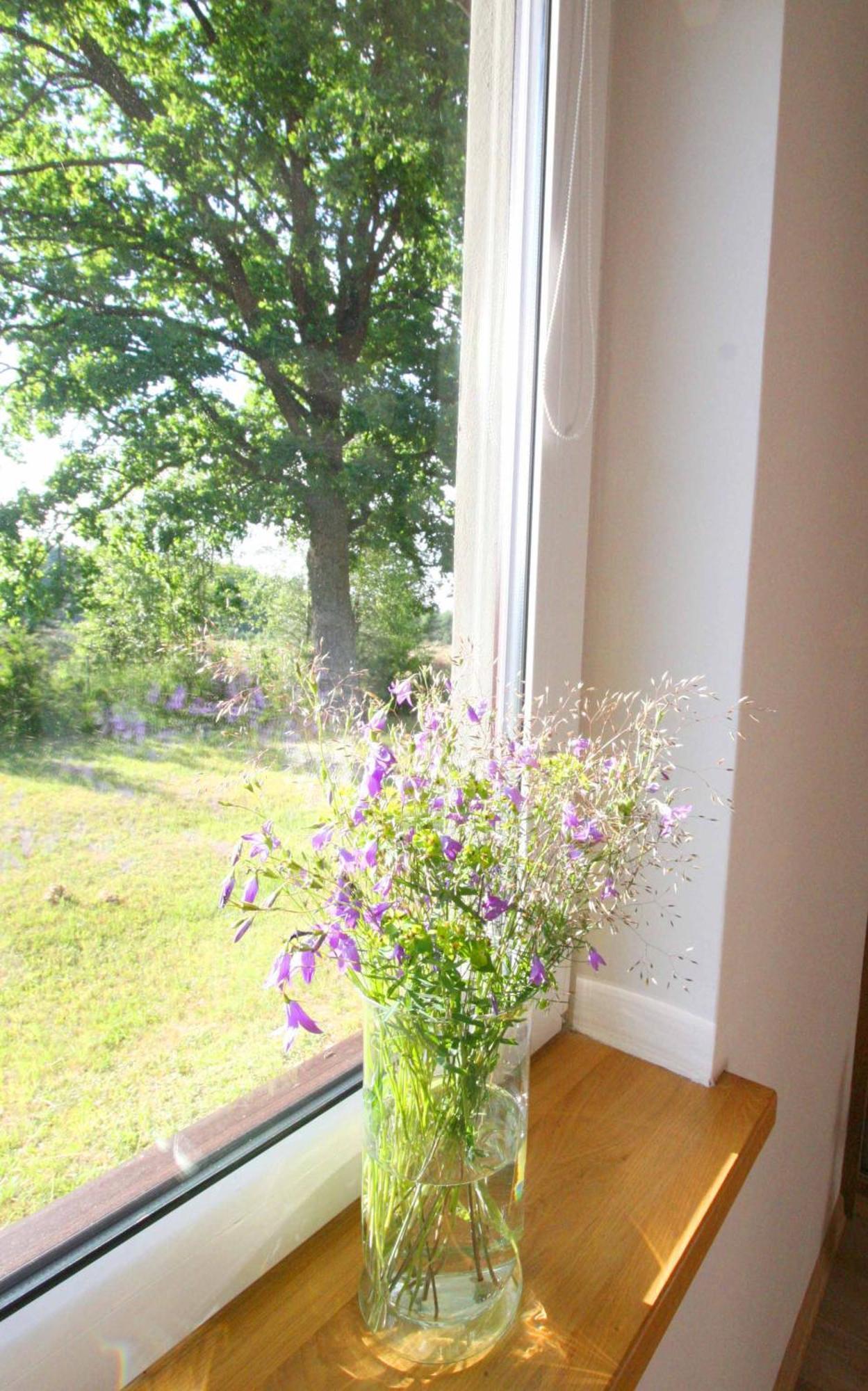 Mazurska Sielanka Apartment Snopki
