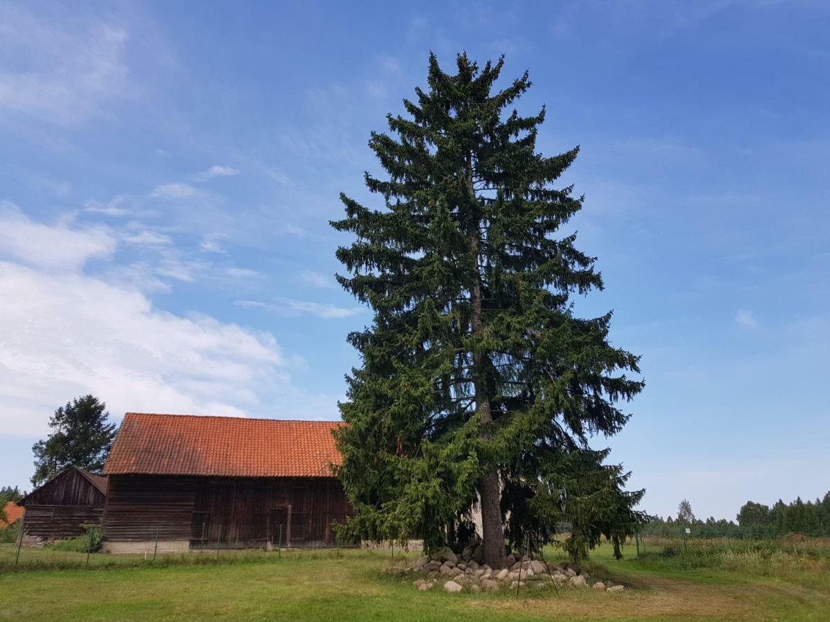 Mazurska Sielanka * Snopki